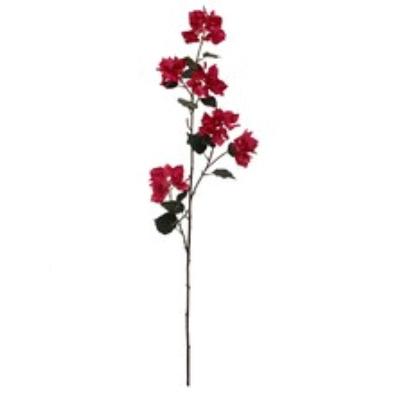 Bougainvillée