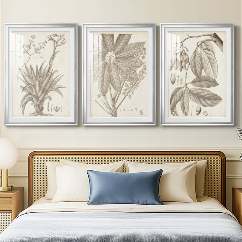 Sépia plantes exotiques IV - reproduction sur mesure encadrée de qualité supérieure - 3 pièces, H 27 po x l 39 po