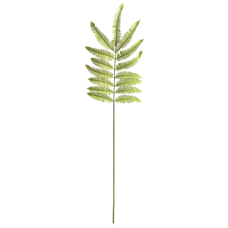 42.5-Inch Tree Fern Stem