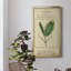 Linnaean Botany IV - Peinture sur toile encadrée-249167255-249167259