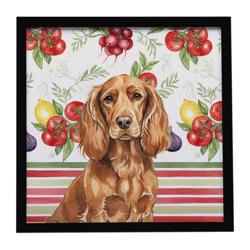 Boykin Spaniel Légumes, impression sur métal encadrée