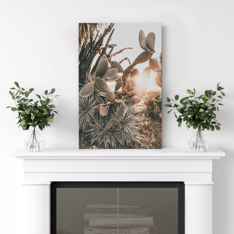«Cactus Rustic Brush Nature Wilderness Photographie Floral Botanical Southwest Desert Landscape» sur, H 36 po x l 24 po
