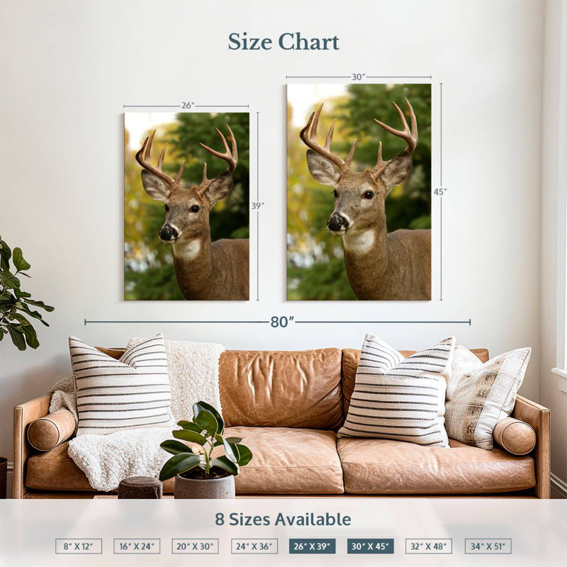 Whitetail Buck, 39" H x 26" W