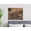 Wrapped Canvas Print Set-1266423730
