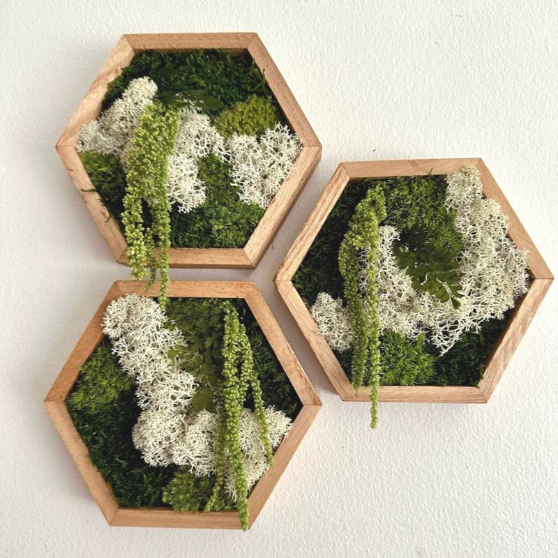 Moss Wall Art