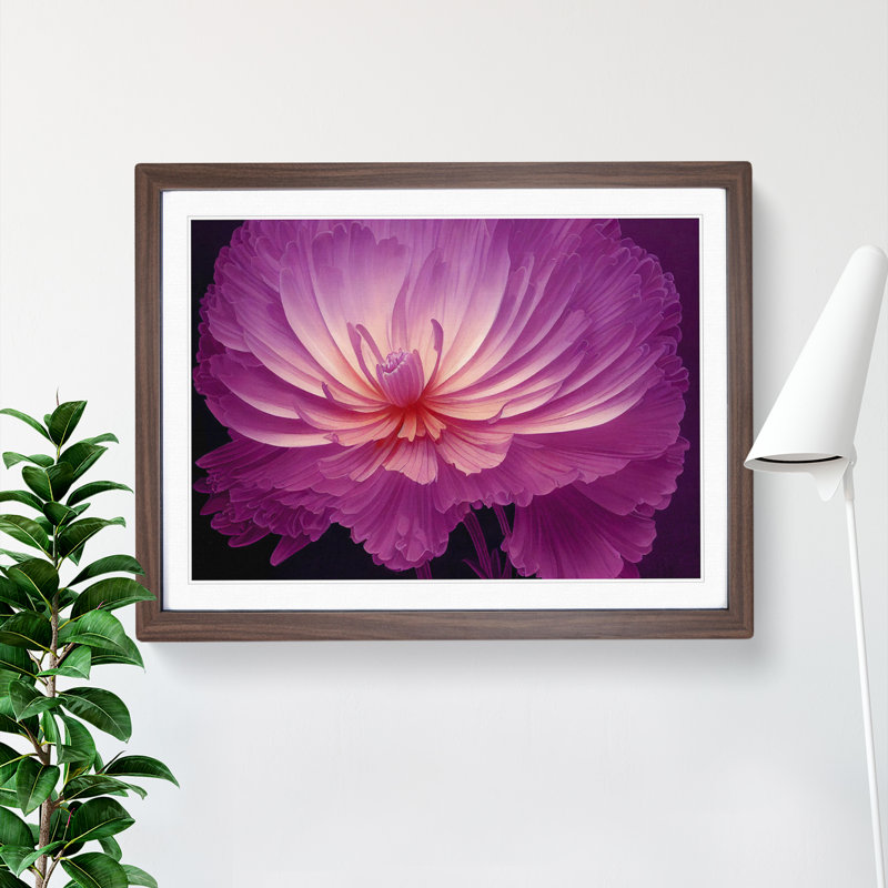 Miraculous Chrysanthemum Flower - Framed Print, 34cm H x 46cm W, Walnut Framed