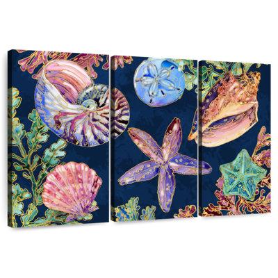 Aletra Spectrum Shells Horizontal