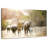Safari Brampt Friends-107707486
