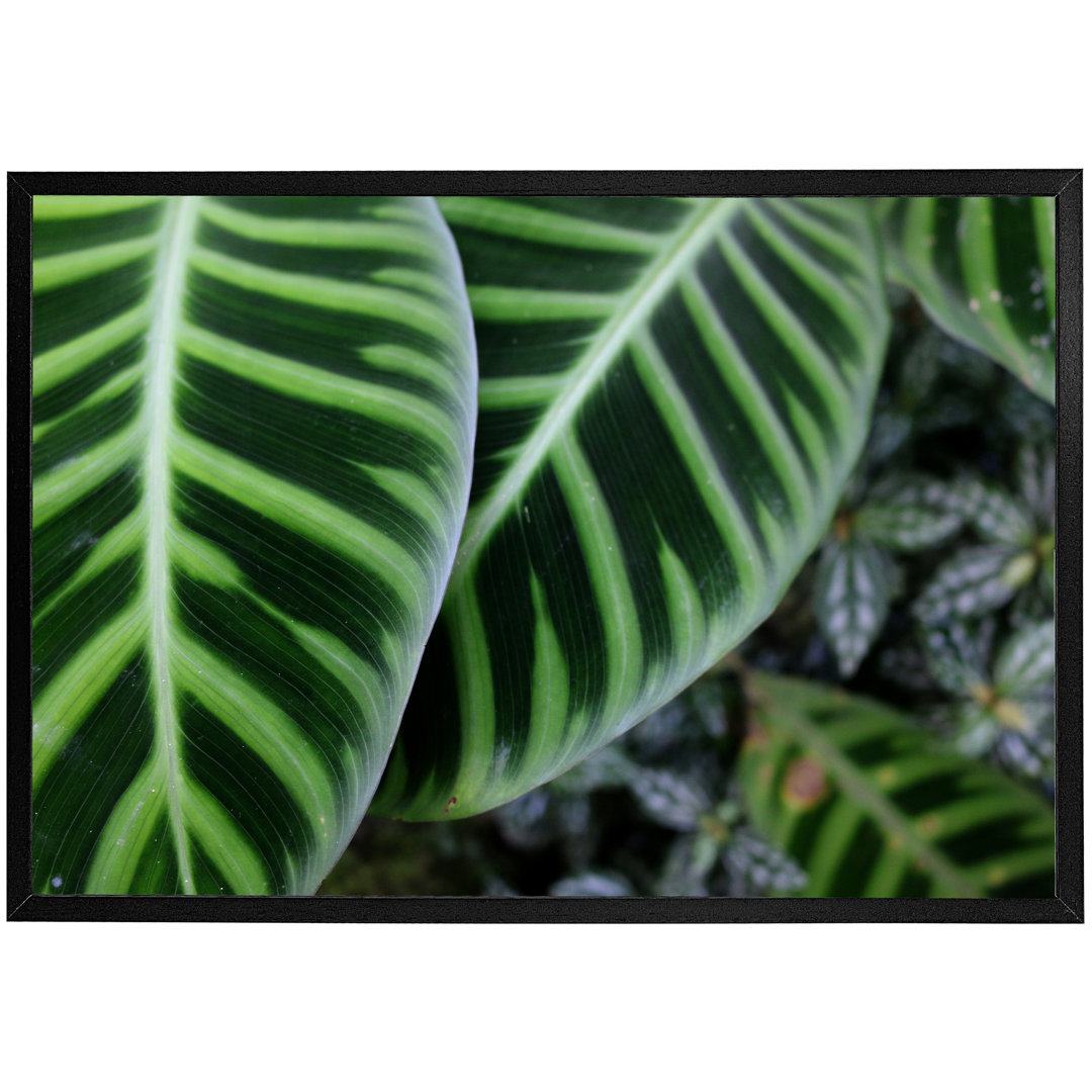 Aadyant Green Leaves With White And Yellow Structure In Exotic Jungle Setting - Single Picture Frame Art Prints