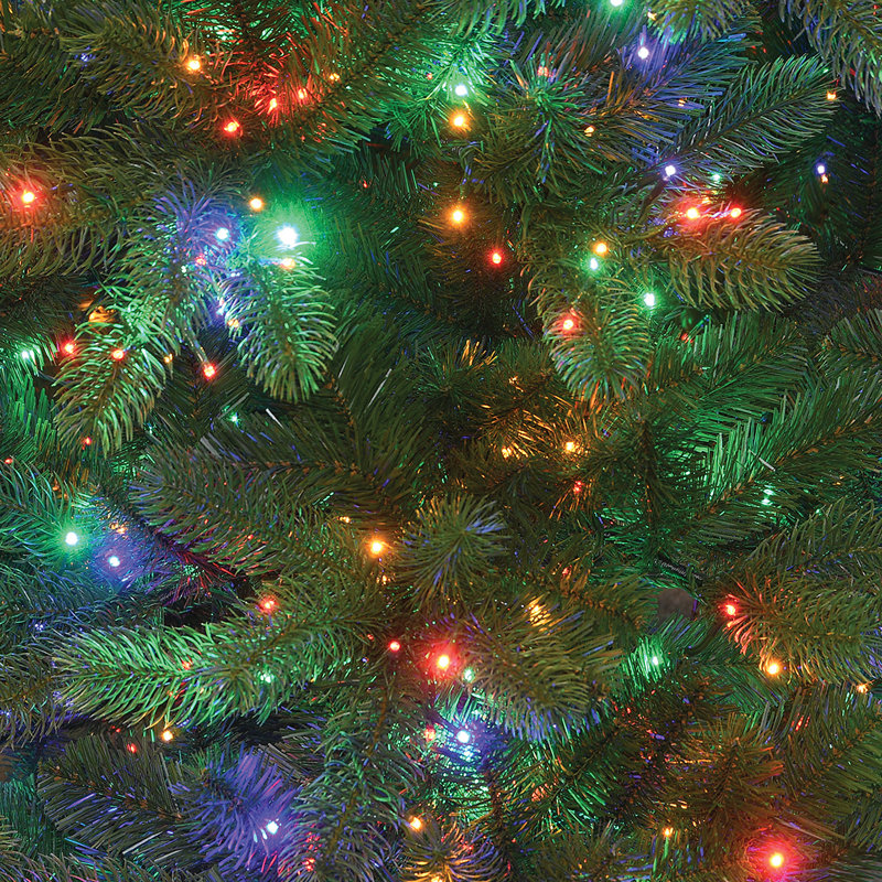 Guirlande lumineuse à DEL Dual Color 200 lumières