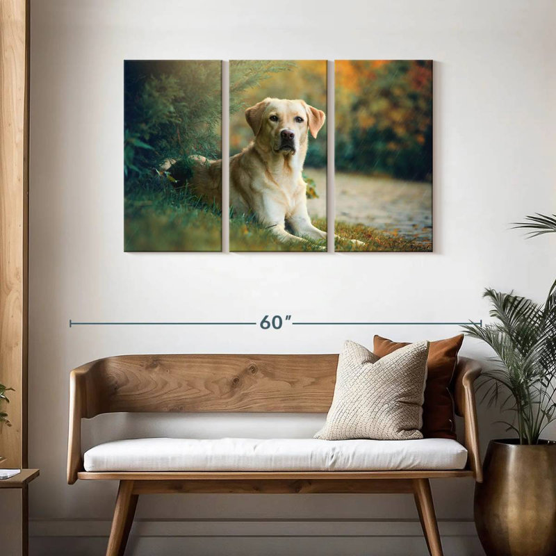 Brampt Labrador Retriever Mix, 28" H x 45" W