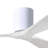 Olivier Ceiling Fan-2077731439-2077778284-2135252020