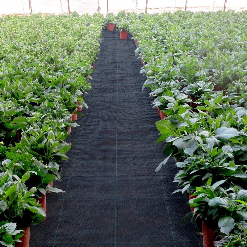 Heavy Duty Black Polypropylene 4' x 300' Weed Barrier Fabric