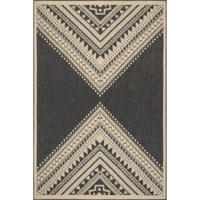 Southwestern Indoor / Outdoor Area Rug