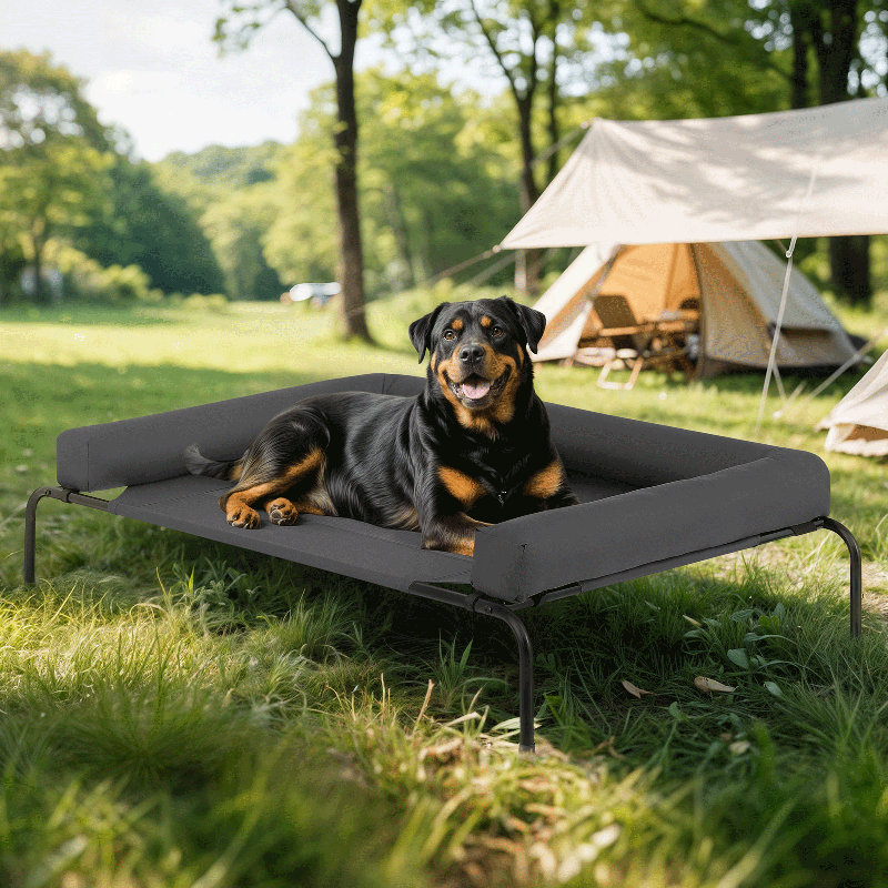 Elevated Dog Bed with Removable Cooling Cushion, Petit (l 35,5 po x P 25,5 po x H 7,5 po), Gris
