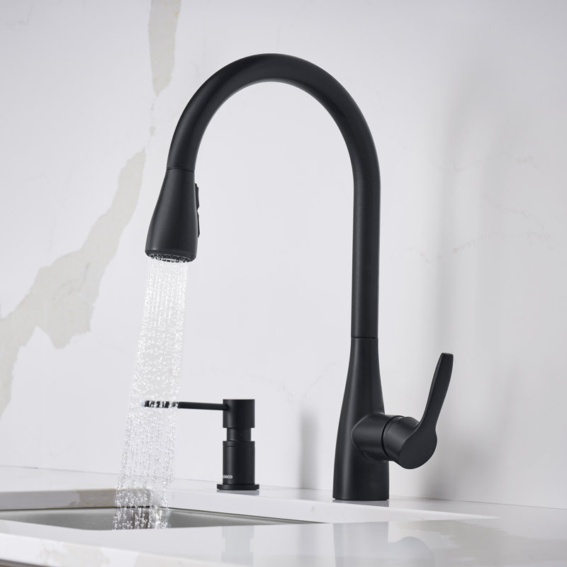 Robinet de cuisine à double jet Atura, 1,5 gallons par minute, Noir mat