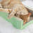 Keyser Scratching Post