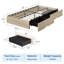 Structure de lit plateforme robuste avec 2 tiroirs de rangement - aucune tête de lit - lattes de bois robustes - profil bas - assemblage facile - aucun sommier requis - mobilier de chambre à coucher - simple, finition chêne naturel