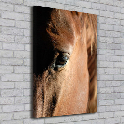 Horse - Wrapped Canvas Print
