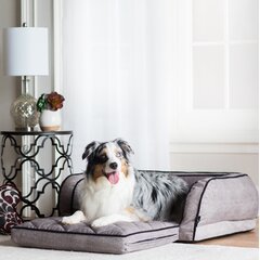 Wayfair  La-Z-Boy Dog Beds You'll Love in 2023