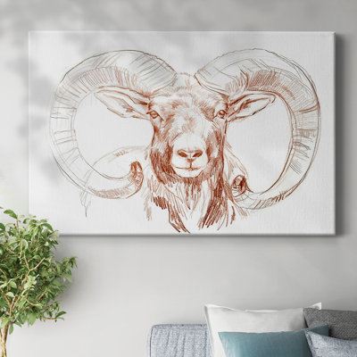 Big Horn Sheep I-Gallery Wrapped Canvas