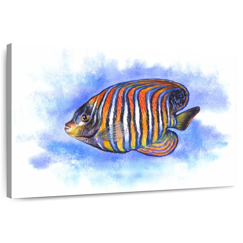 Aquarelle, poisson-ange royal, H 26 po x l 39 po