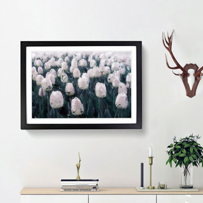 Field of White Tulips - Picture Frame Painting Print