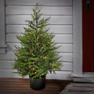 3 ft Prelit Artificial Cypress Tree with 100 Clear Lights, Realistic Fake Tree Potted Plant, Matte Black Nursery Pot