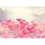 Murale florale-93997021