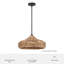 Grand luminaire suspendu 1 lumière Hunter Cambria