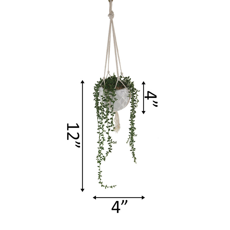 1-pièce de plante grasse artificielle en pot, H 12 po x l 4 po x P 4 po