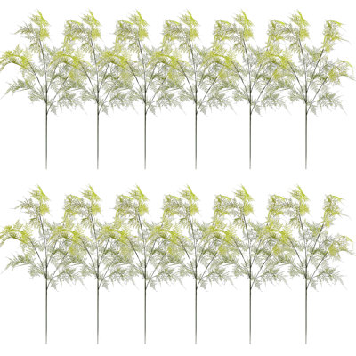 Branche d'asperge Sewell