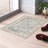 Ducote Washable Gray and Beige Machine Woven area rug-563725840