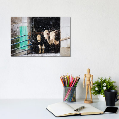 Barnyard Winter by Debbra Obertanec - Wrapped Canvas Gallery-Wrapped Canvas Giclée