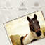 Brampt Horse Pasture-106051796