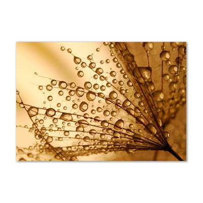 Dandelion Seeds - Wrapped Canvas Print