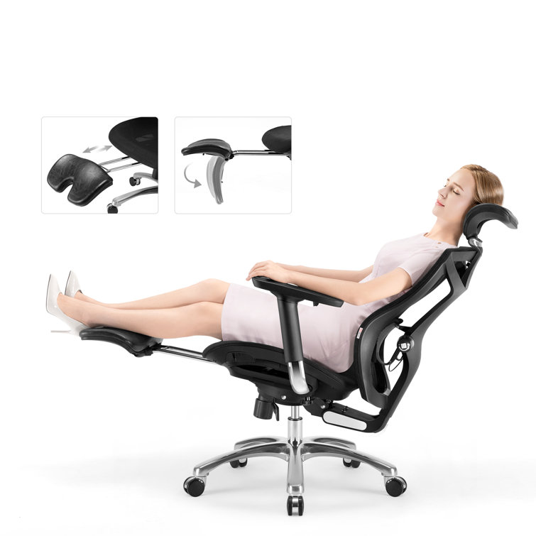 https://assets.wfcdn.com/im/07213168/resize-h755-w755%5Ecompr-r85/2313/231375723/Ergo+Office+Chair+With+2-way+Lumbar+Support+and+Depth+Adjustable+Seat+for+330lbs.jpg