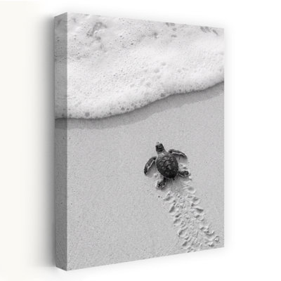 Reproduction d'art mural bébé tortue de mer voyage tortue plage nature
