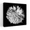Dahlia II Bw, art floral contemporain Dahlia