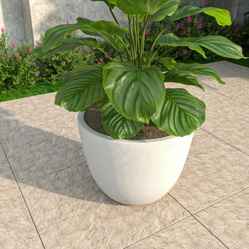 Owasso Tapered Round Pot Planter in Handmade MGO Clay Fiberstone - Indoor and Outdoor Use with Drain for Patio, Garden, Backyard, and Modern Home