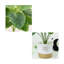 Sapin artificiel 17,72 po