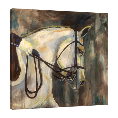 Dressage by Jeanette Vertentes