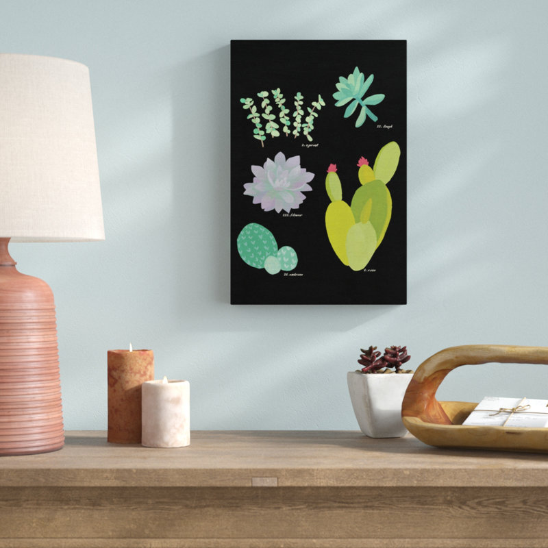 « succulent plante chart iii », reproduction d’art sur toile tendue, H 26 po x l 18 po x P 1,5 po
