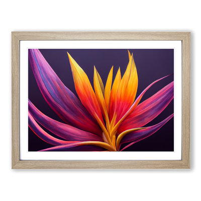 XH1022-7113X Precious Bird Of Paradise Flower - Single Picture Frame Print