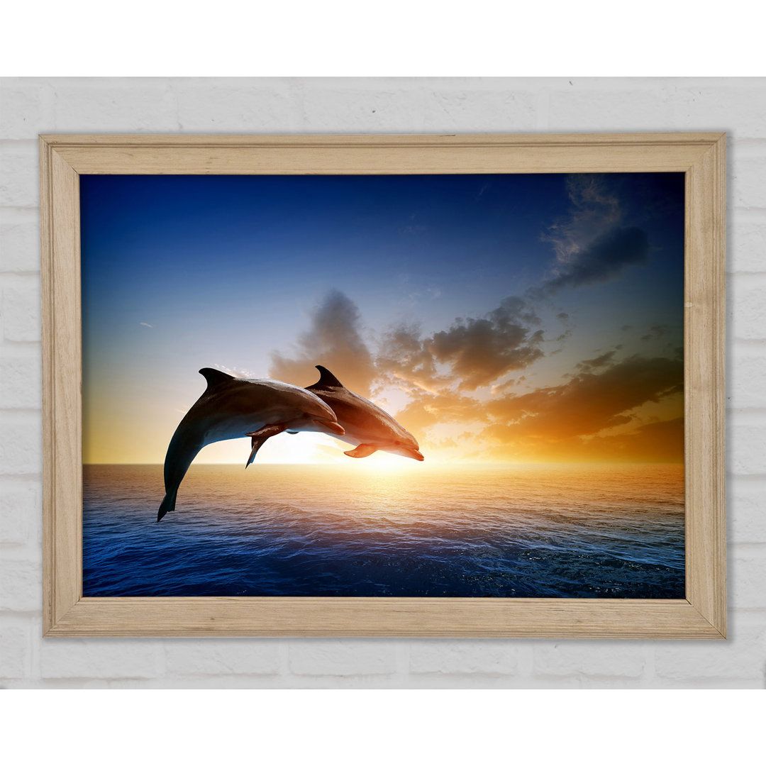 Gerahmtes Poster Jumping Sunset Dolphins