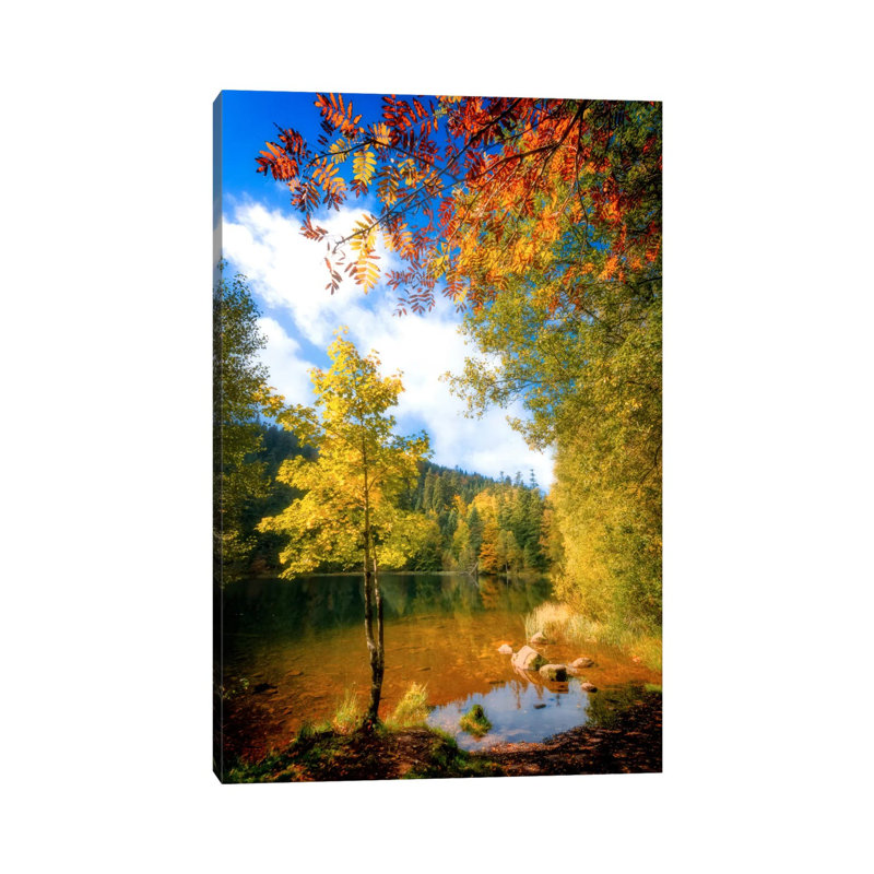 Fall Framing by Philippe Sainte-Laudy - Print on Canvas, 66.04 cm H x 45.72 cm W x 1.91 cm D, Wrapped Canvas