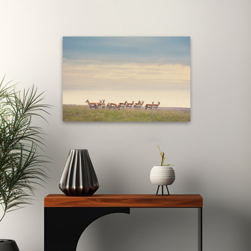 La force en chiffres - Photographie, animaux, nature, art animalier, H 16 po x l 24 po