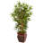 42'' Faux Bamboo Tree in Wood Planter
