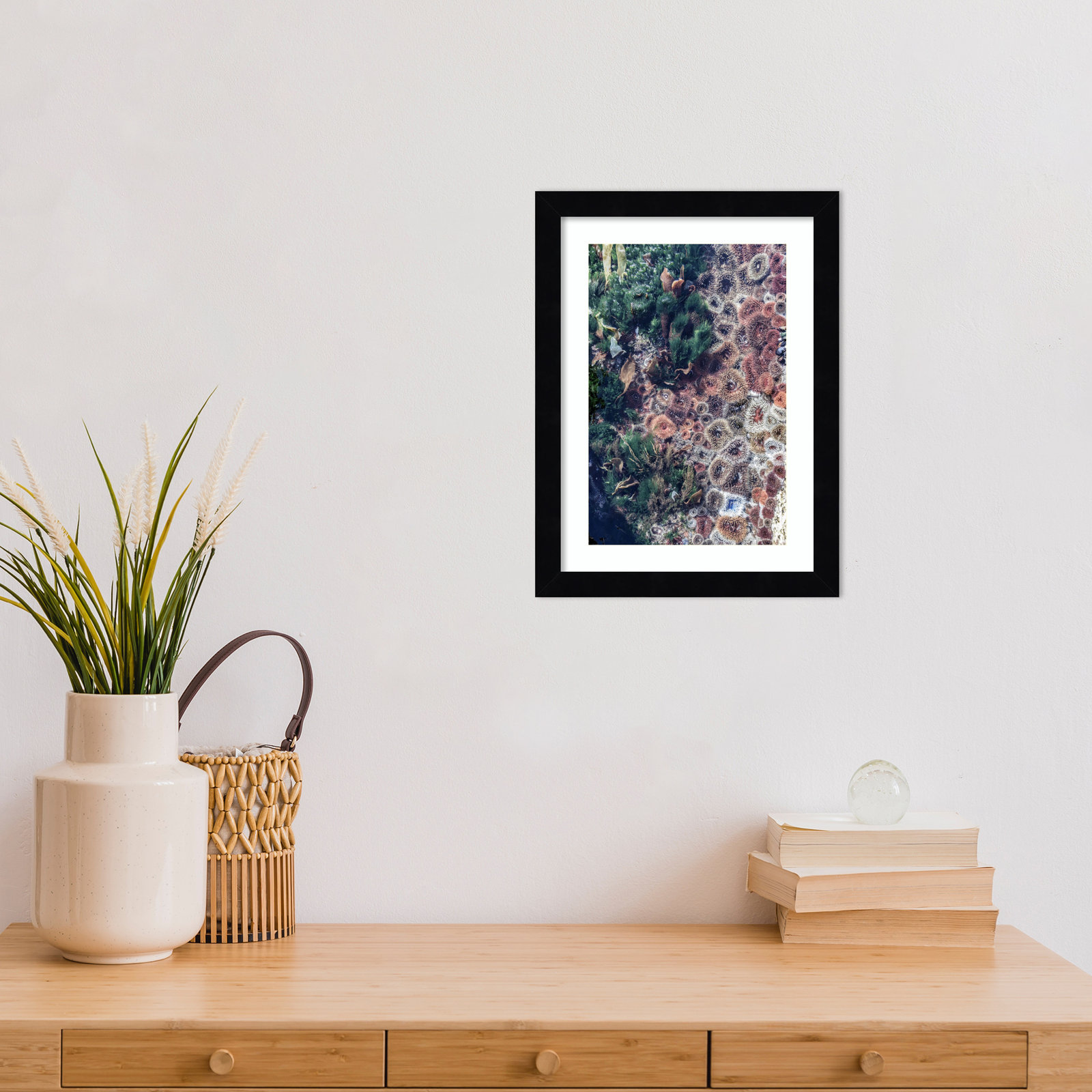 Daisey "Ocean Curiosities" Print, Black, 13" H x 10" W