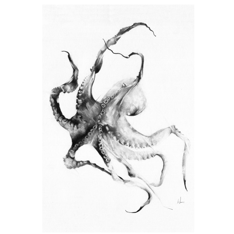 Octopus by Alexis Marcou - Print on Canvas, Wrapped Canvas, 66.04 cm H x 45.72 cm W x 1.91 cm D